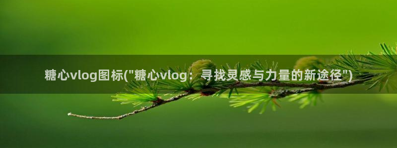 糖心麻豆玩偶vlog：糖心vlog图标(\