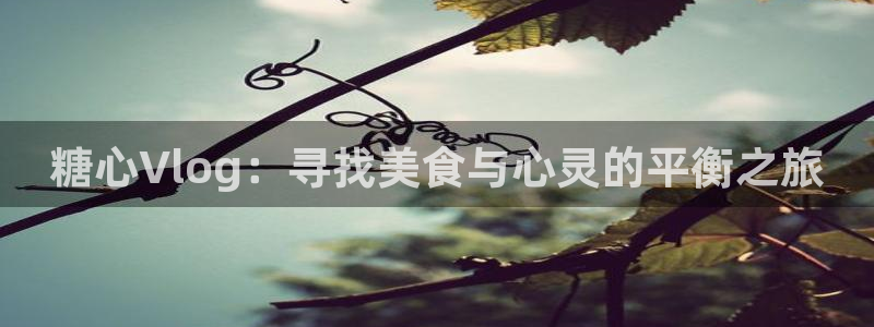 A 糖心vlog入口：糖心Vlog：寻找美食与心灵的平衡之旅