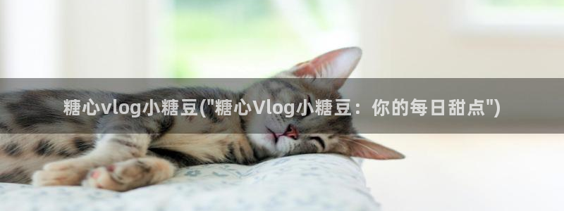 糖心vlog旅行：糖心vlog小糖豆(\