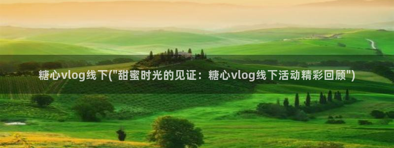 91糖心vlog：糖心vlog线下(\