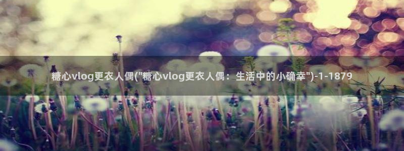 糖心vlog小浣熊：糖心vlog更衣人偶