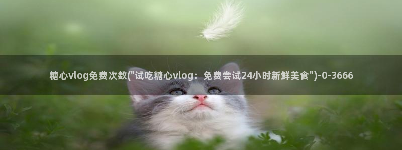 旧版糖心vlog官网:糖心vlog免费次数(\