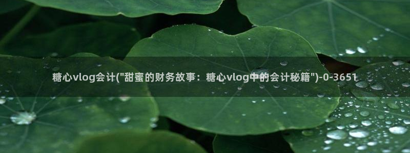 t糖心vlog:糖心vlog会计(\