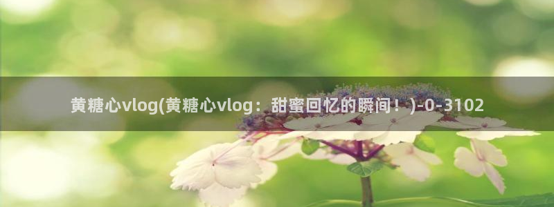 糖心vlog 章节